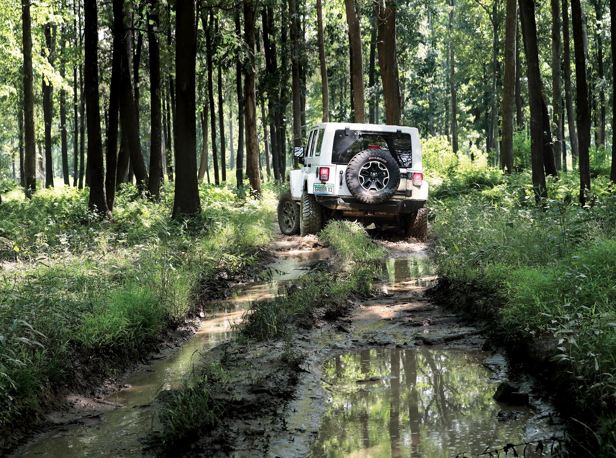 Jeep in mud
