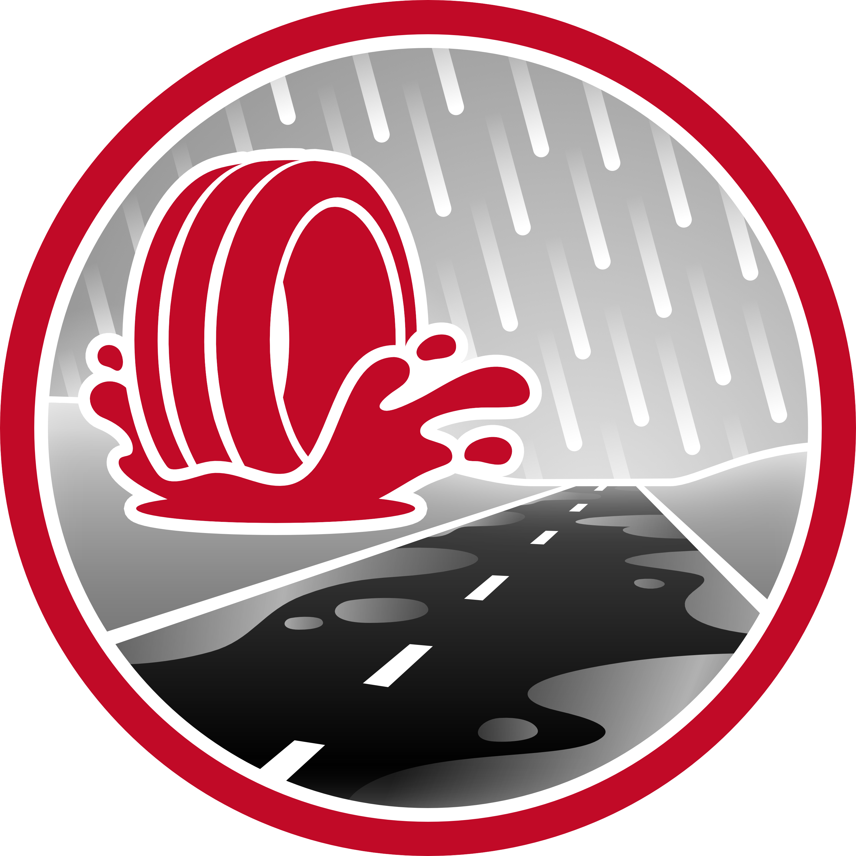 Aquaplaning Icon